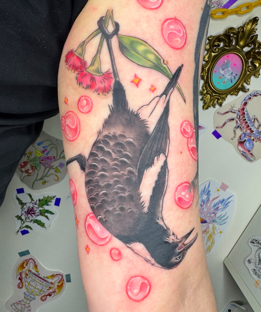 Screen Shot 2026-03-04 at 10.11.53 am.png