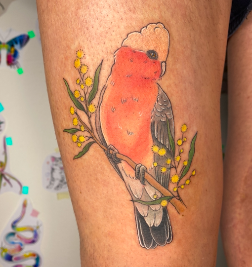 Screen Shot 2026-03-04 at 10.24.33 am.png