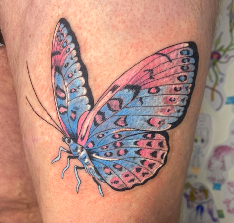 Screen Shot 2026-03-04 at 1.46.29 pm.png