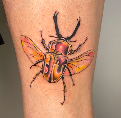 Screen Shot 2026-03-04 at 2.03.13 pm.png