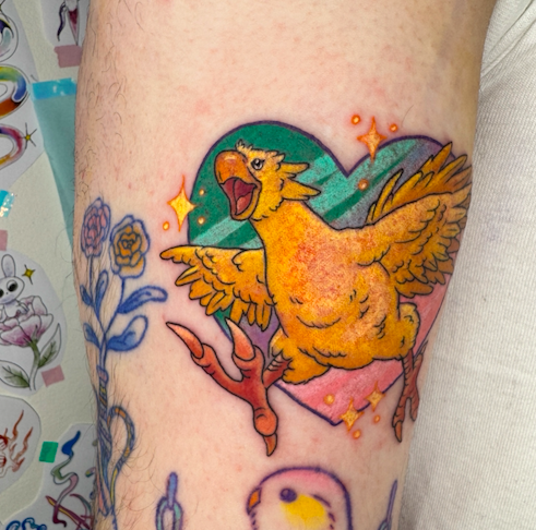 Screen Shot 2026-03-04 at 9.50.41 am.png