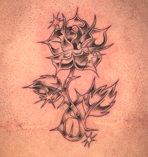 Screen Shot 2026-03-04 at 9.46.43 am.png