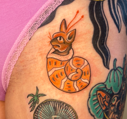 Screen Shot 2026-03-04 at 10.25.07 am.png