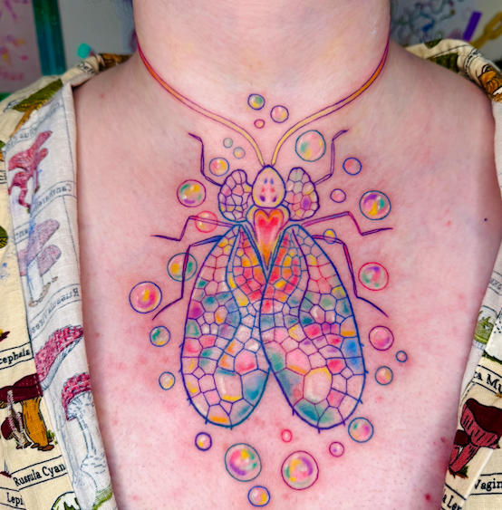 Screen Shot 2026-03-04 at 10.19.34 am.png