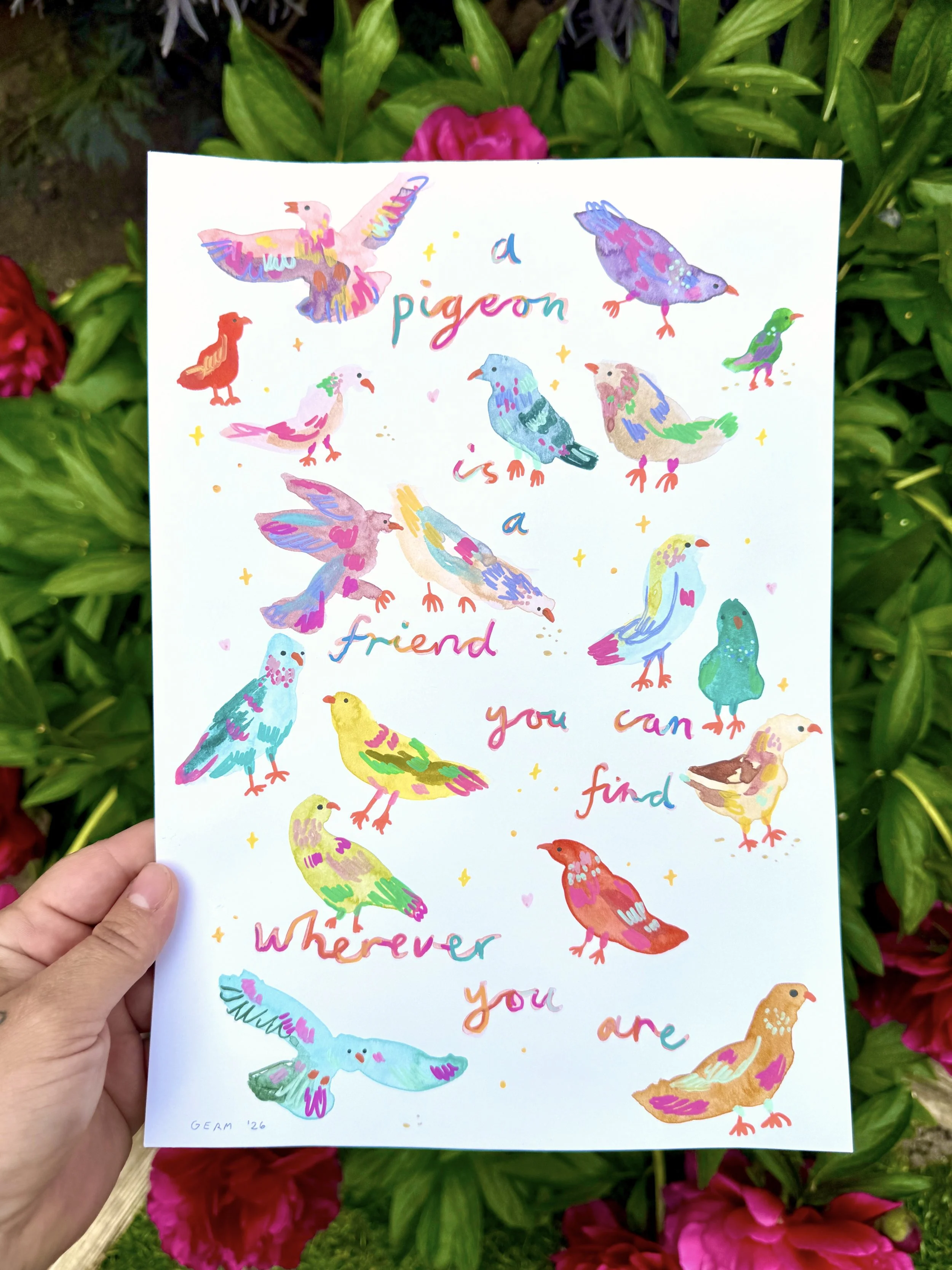 a pigeon is a friend.JPG