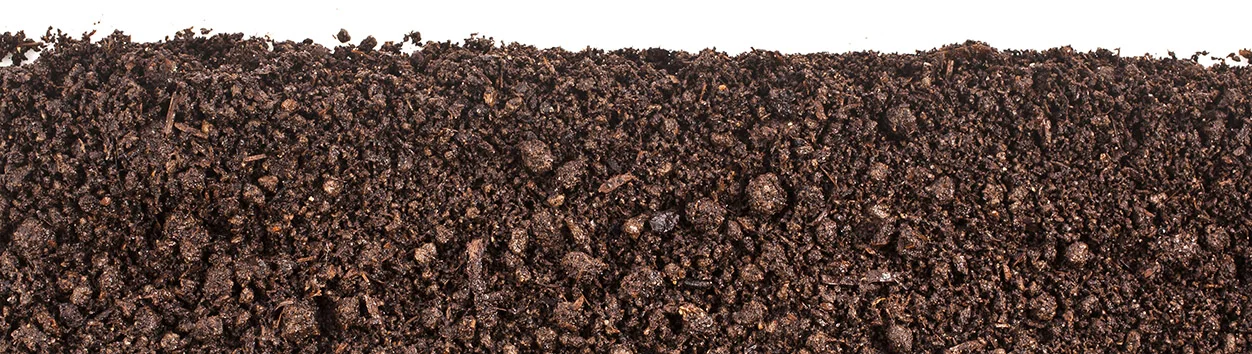 soilbottom.jpg