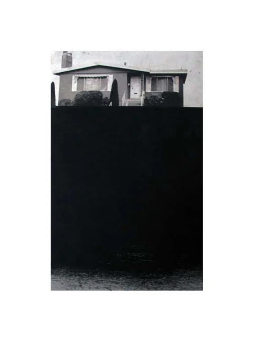 Eventide Curtain III Etching, chine colle, thread 20” x 15”, 2010