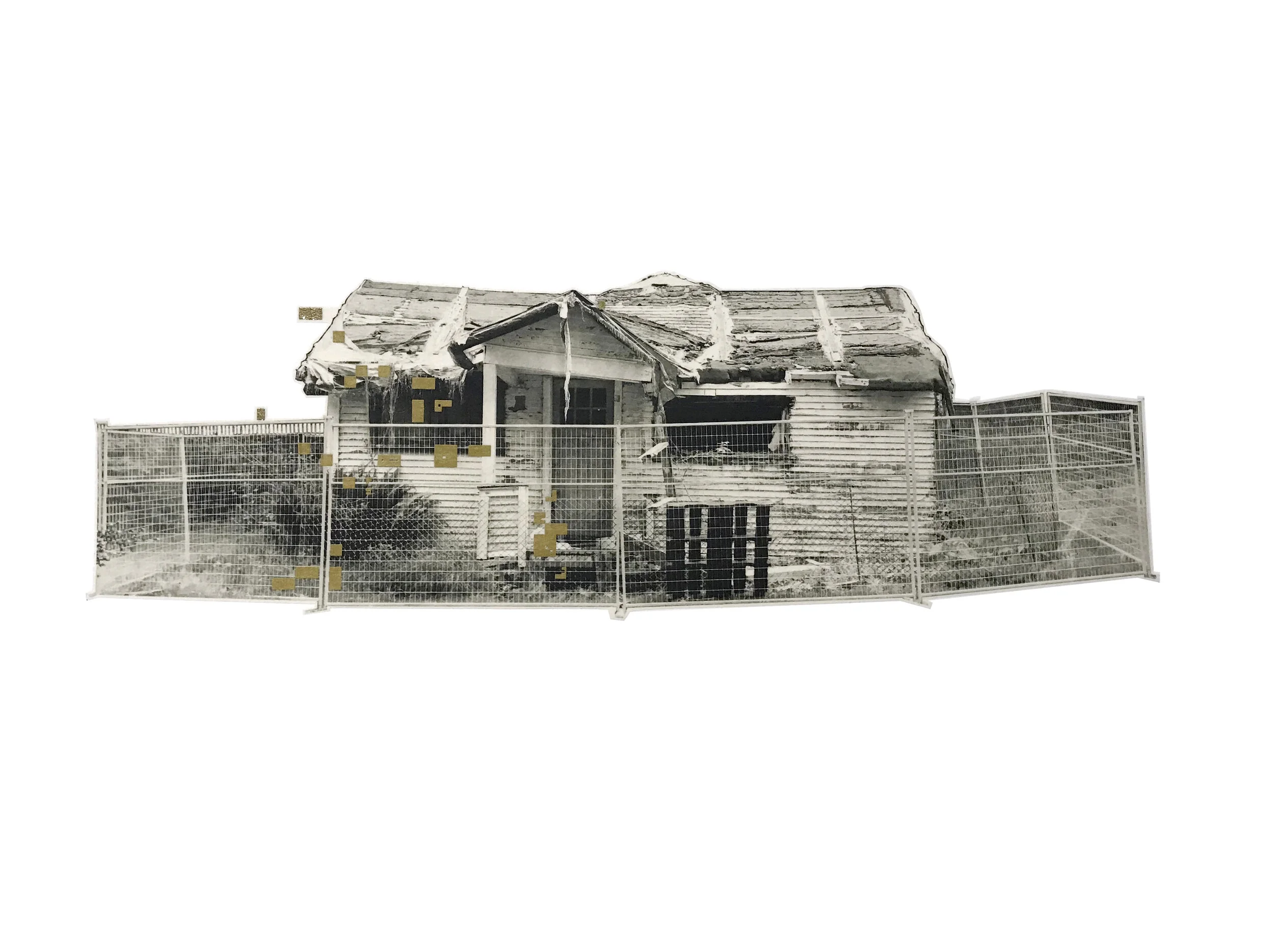 VANESSA HALL-PATCH