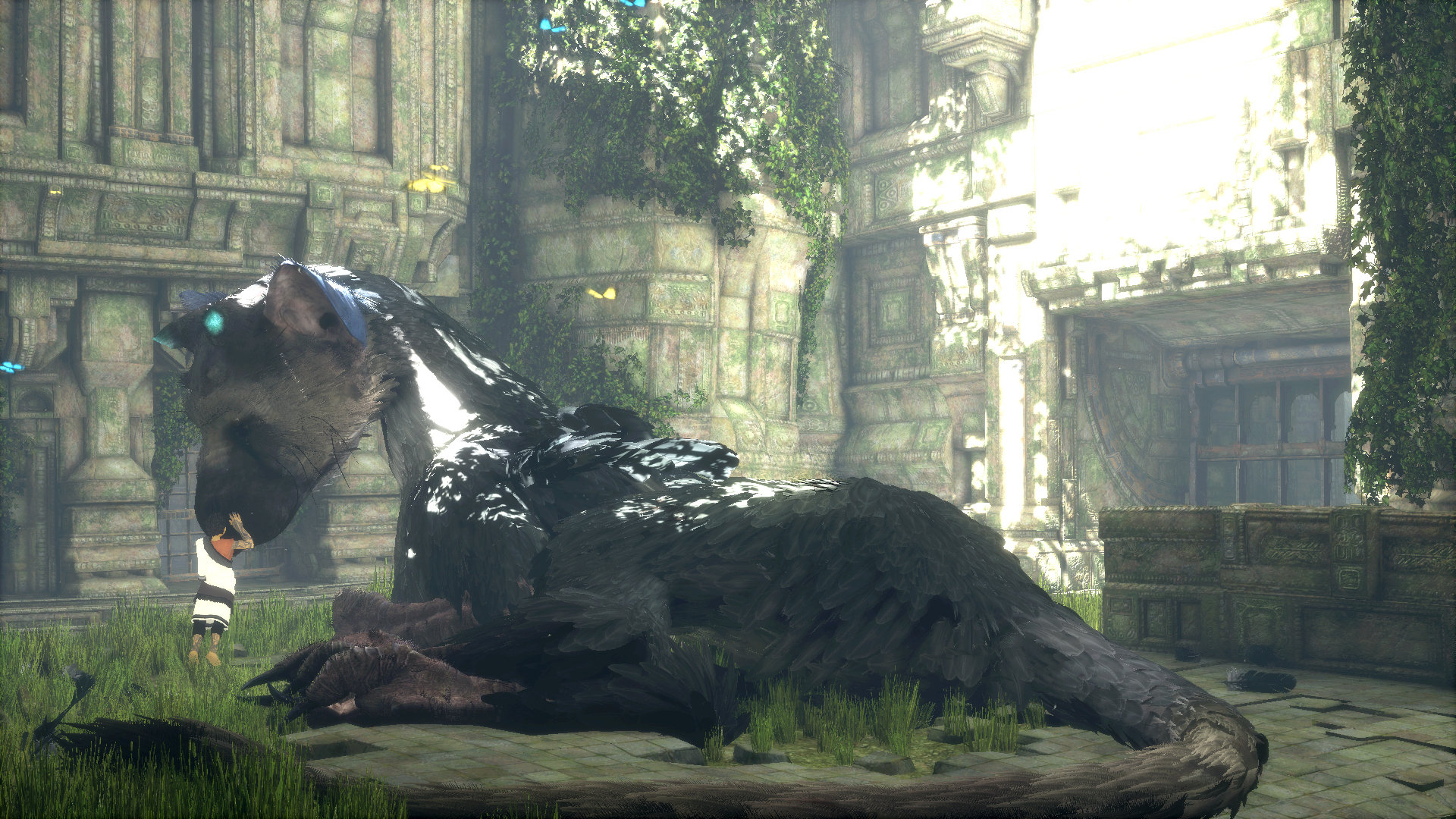 Trico and the Boy.