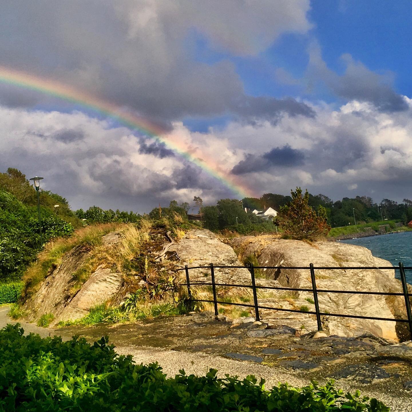 Not like the yellow Sun,
not like the white Moon -
the rainbow colours
are seven like seven wonders,
and free like children’s balloons.
They seem so alien in the sky.
Stroke them gently
with your smile.
~Eleni Cay
#poetry #poetrylovers #poetr