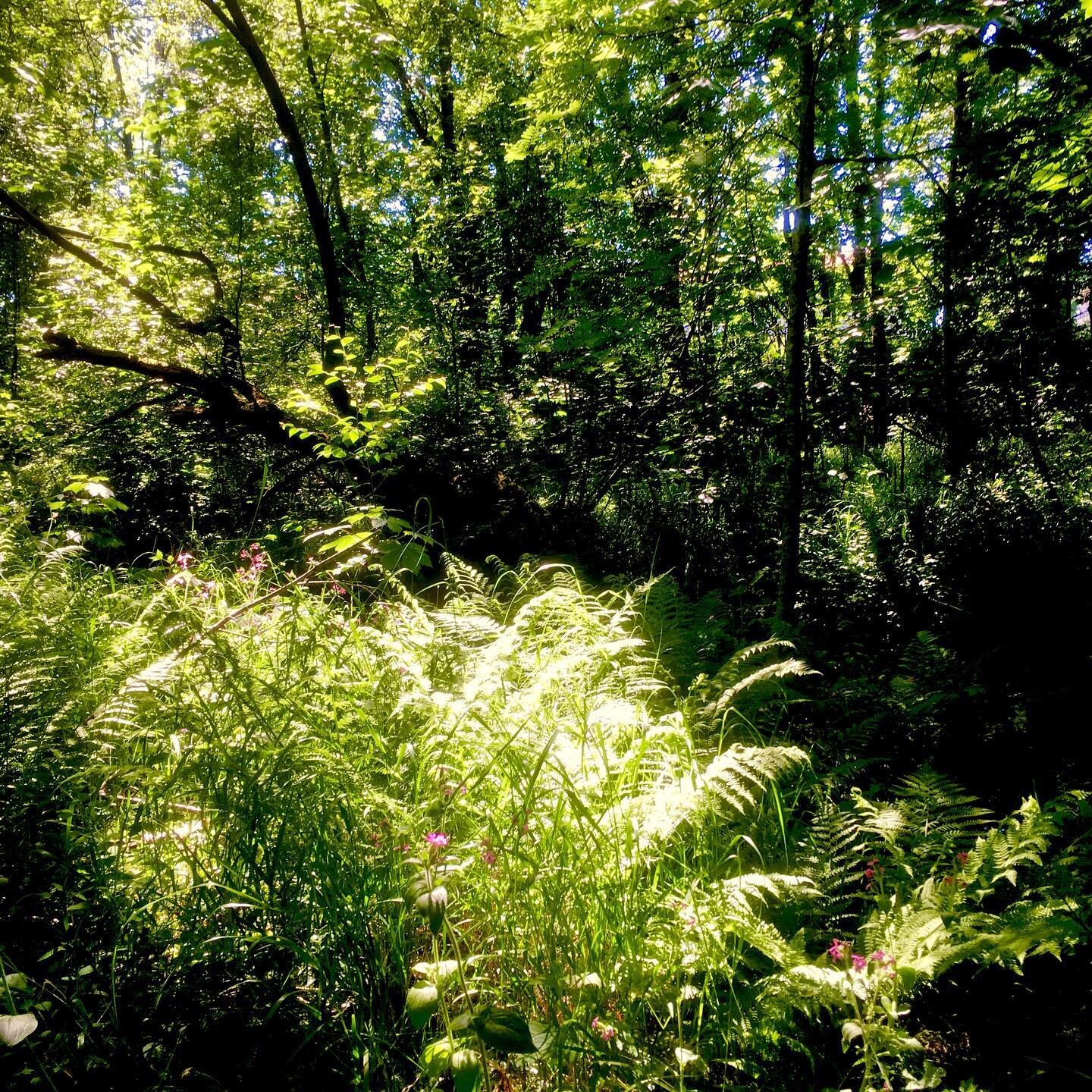 And if you call
the wind Time
and Lord of him
who sows the grain,
you’ll change
your prayers soon.
Let there be
fewer springtimes
from now on,
just an Indian sun
in the ferns, at afternoon.
-Eleni Cay from the poem
‘Tempus tantum temporar