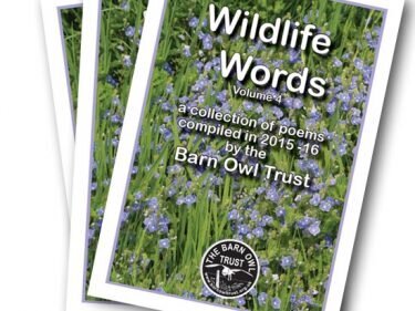 Wildlife-Words-Vol-4-375x281.jpg