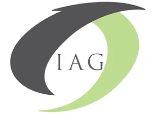 Investment Analysis Group