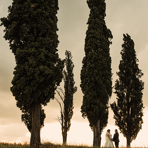 Elisa e Roberto