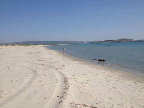 Silva Bay in 2014