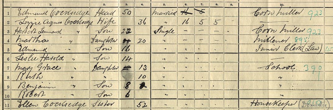 Excerpt from the 1911 Census