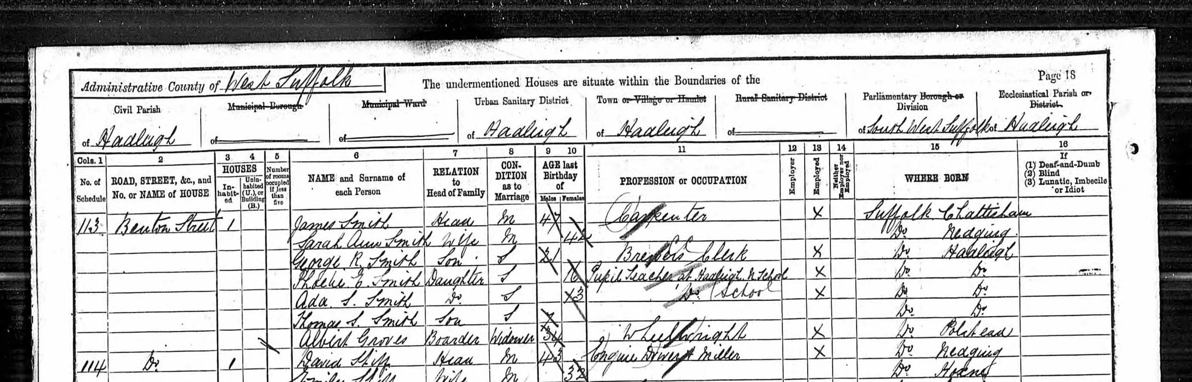 Excerpt from 1891 Census