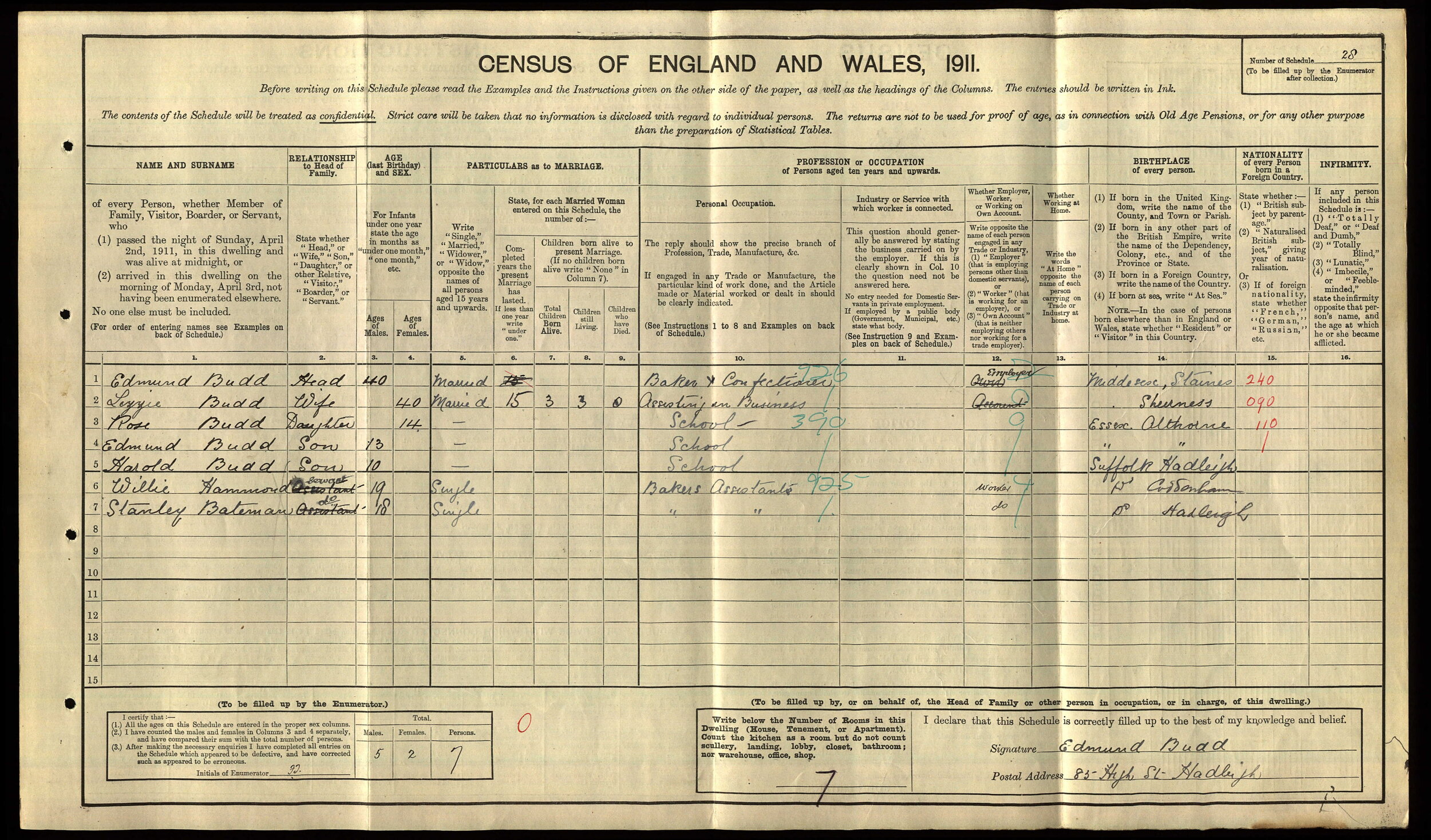1911 Census.jpg