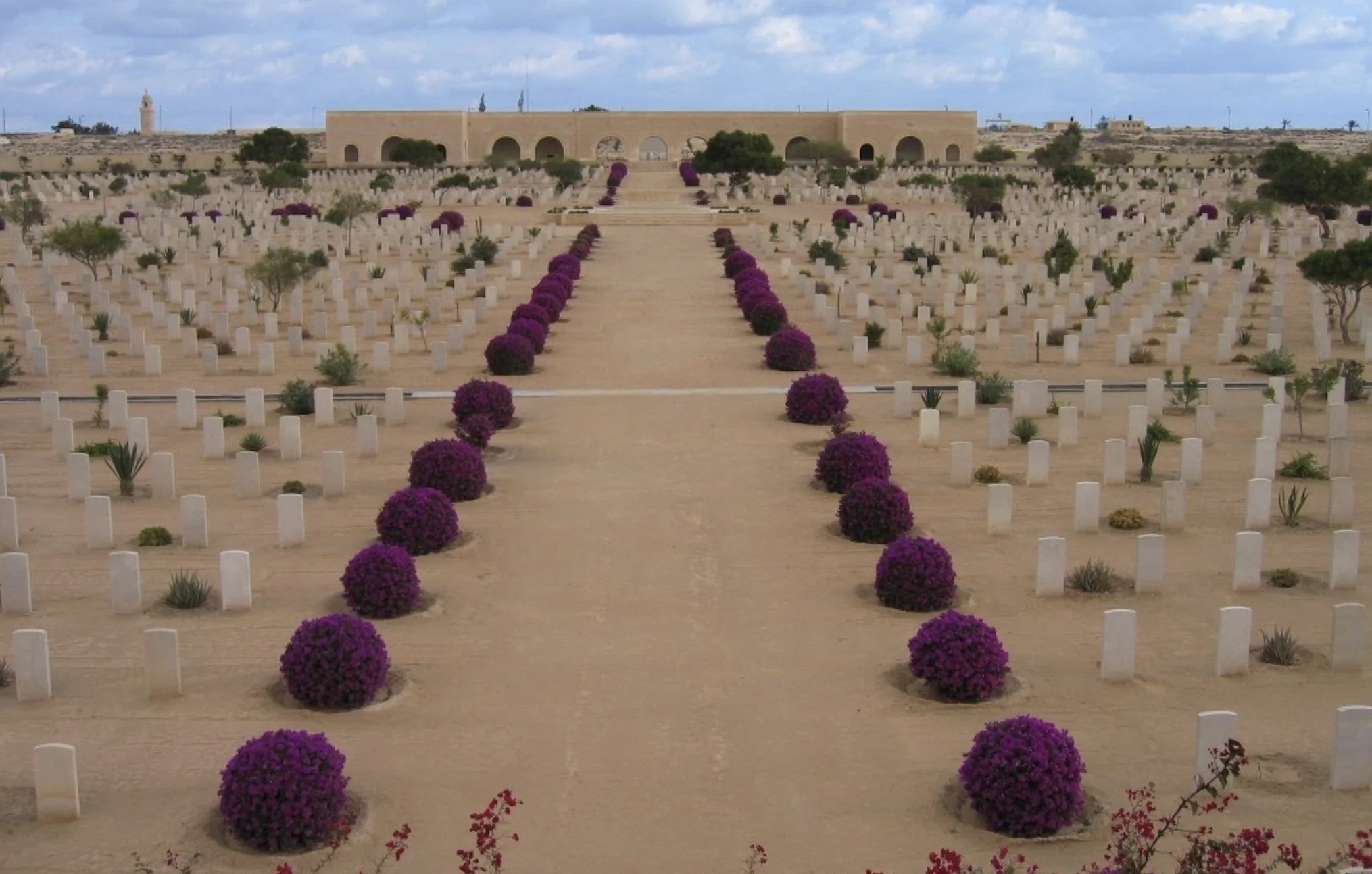 CWGC Cemetery garden.jpeg