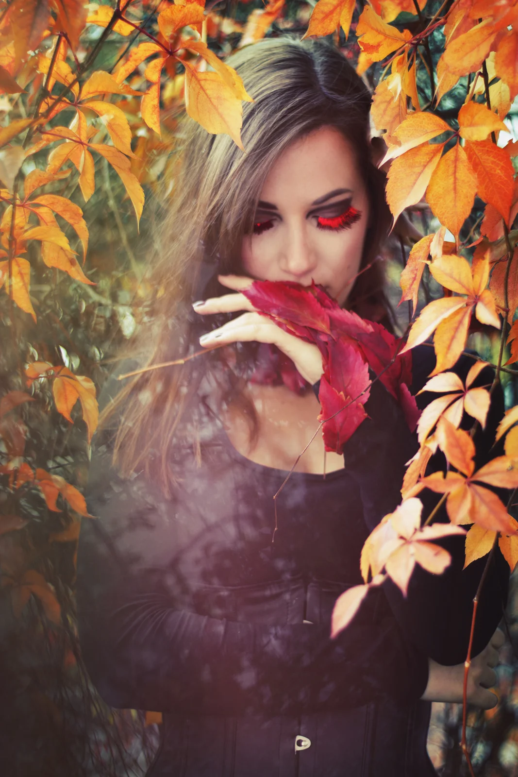 5 Things to Shoot in Autumn