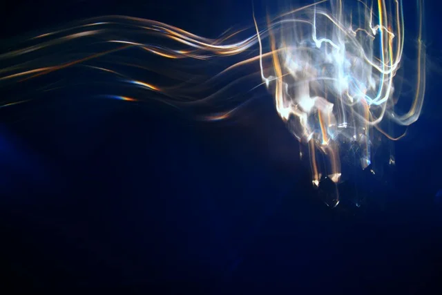 Luces de hotel. Madrid