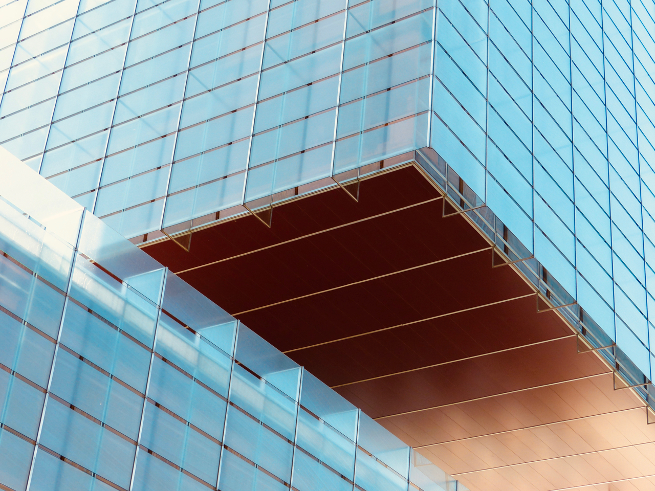 Banca Coca. Madrid / Arquitecto Rafael de la Hoz