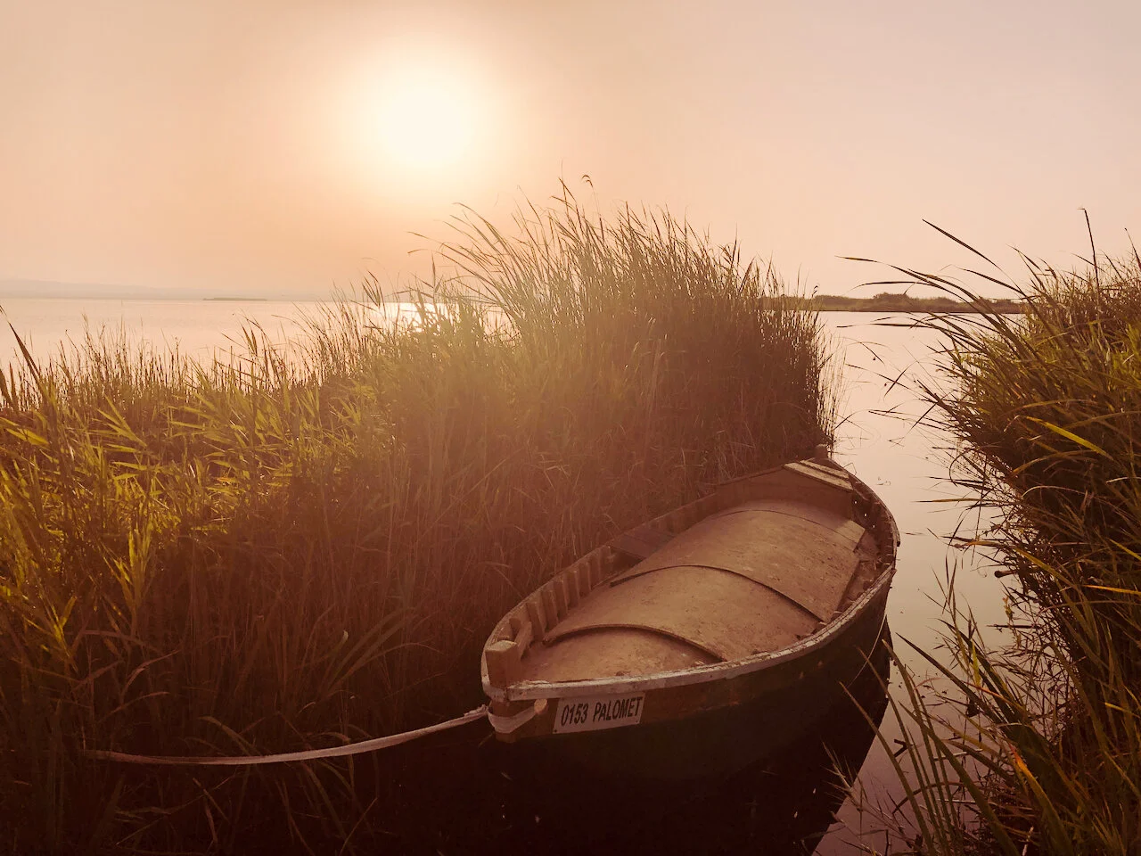 PARQUE NATURAL DE LA ALBUFERA