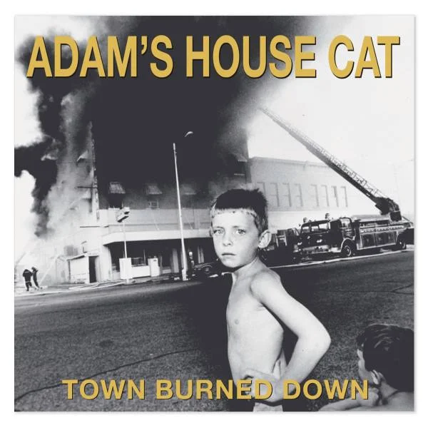 AdamsHouseCat.jpg