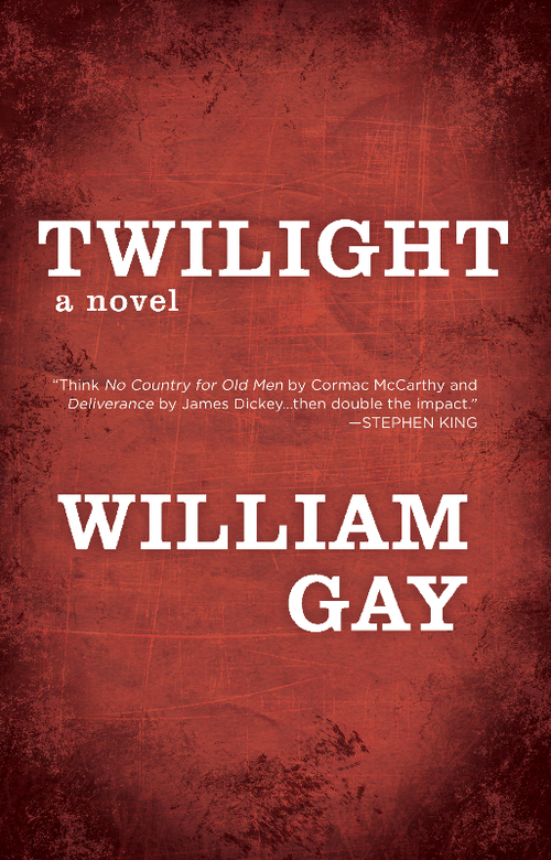 Gay+-+Twilight+-+Final+Cover.jpg