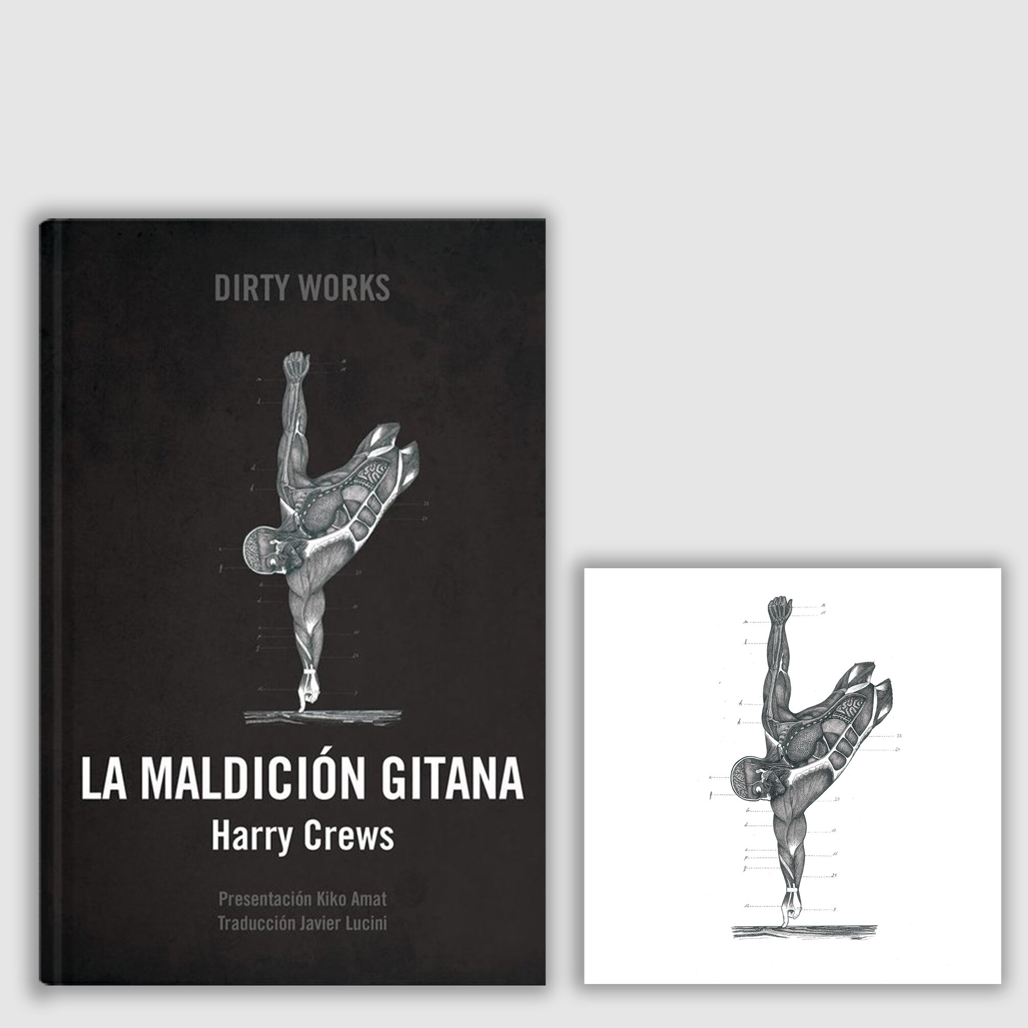 Maldicion-gitana_Tienda.jpg