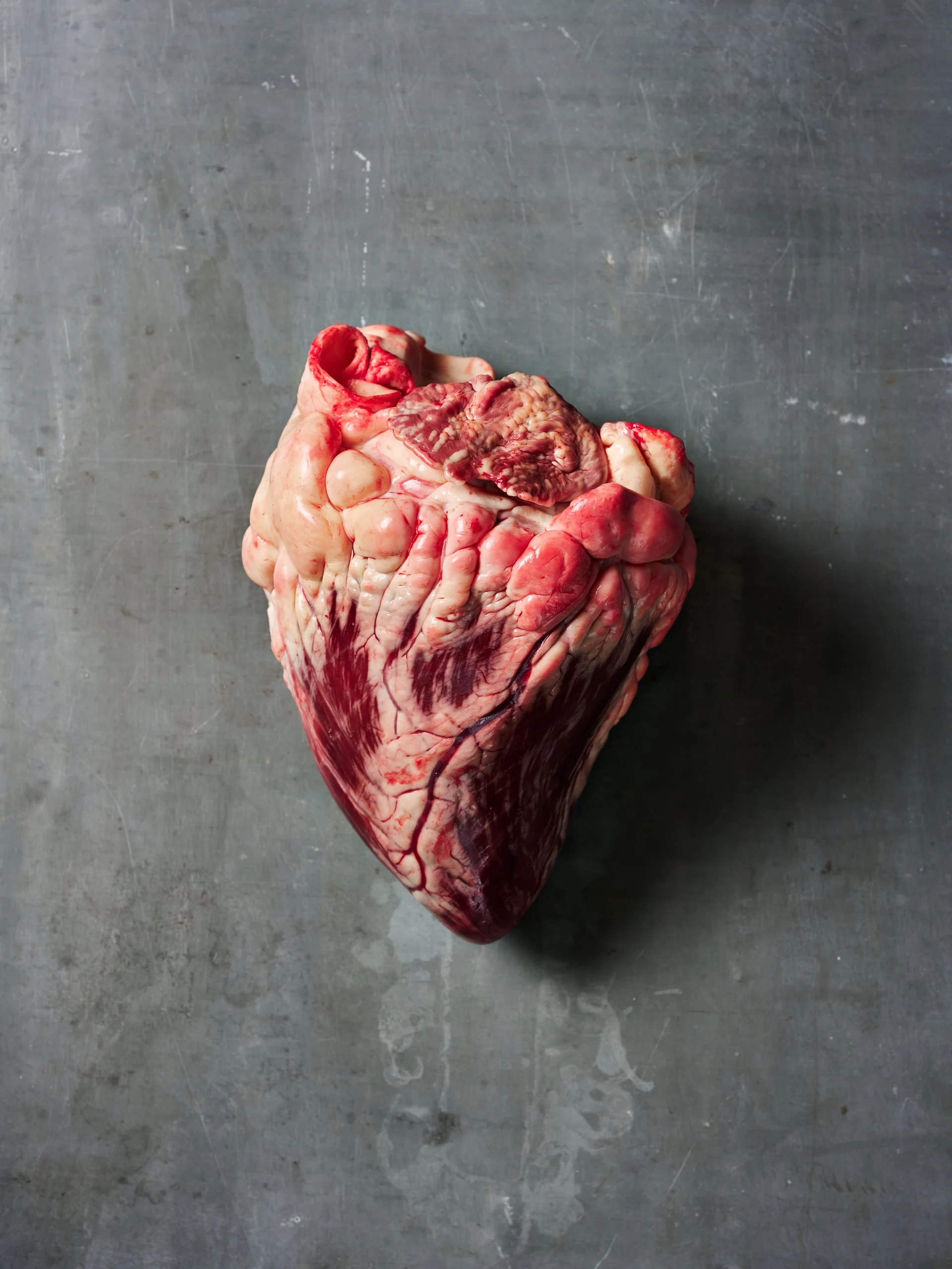 Trenchmore_products_09.02.22_0229 1.jpg