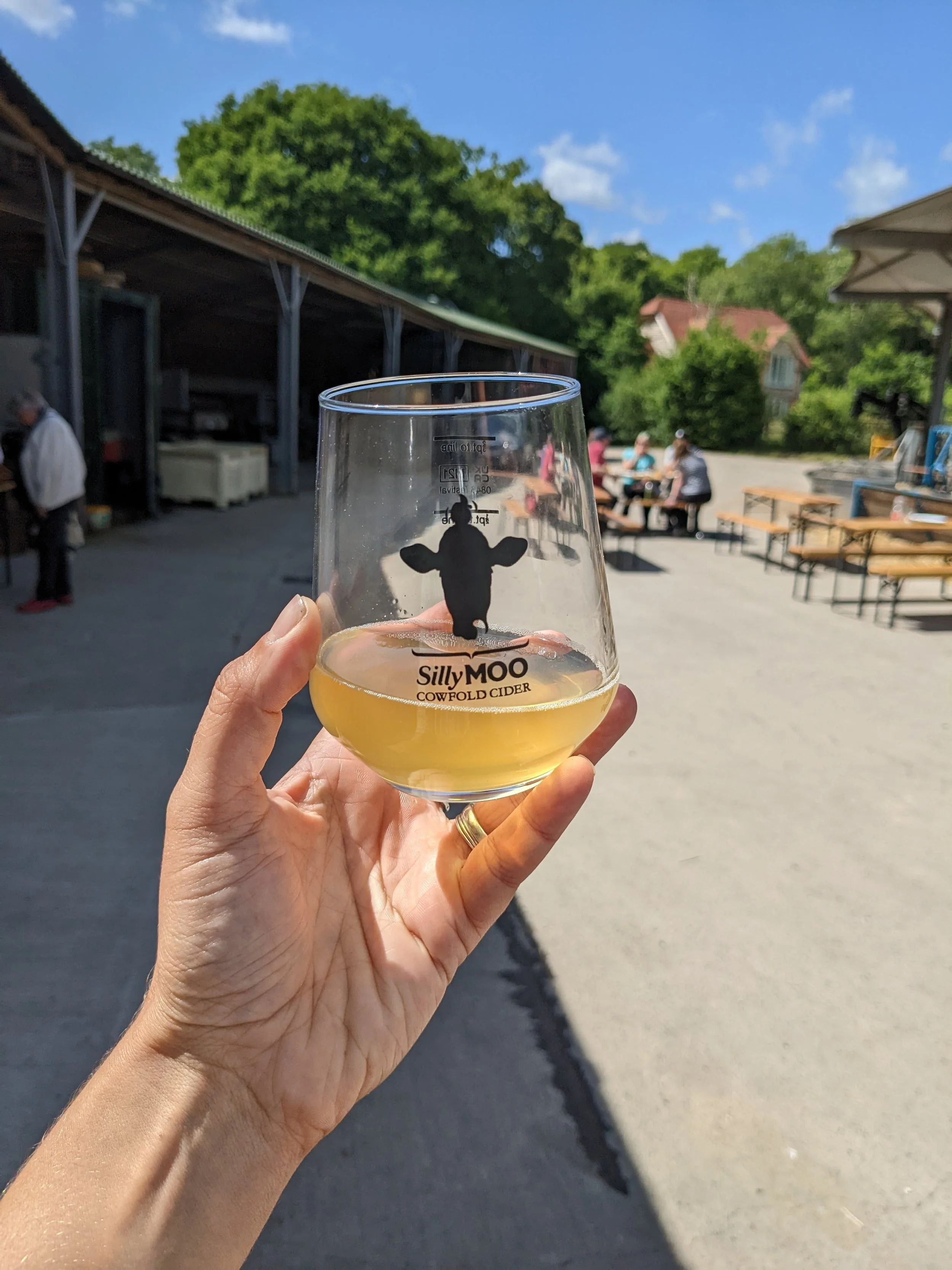 Friday evenings at Trenchmore Farm