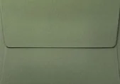 Mid green (Olive)