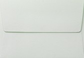 Powder green (mint)