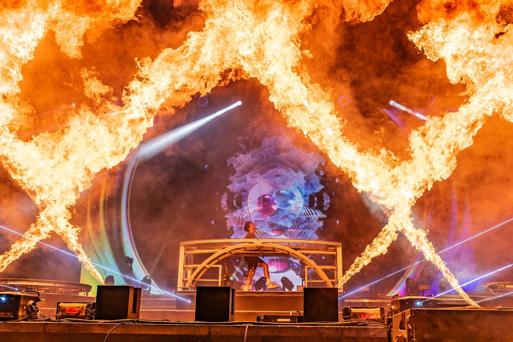 griz6.jpg