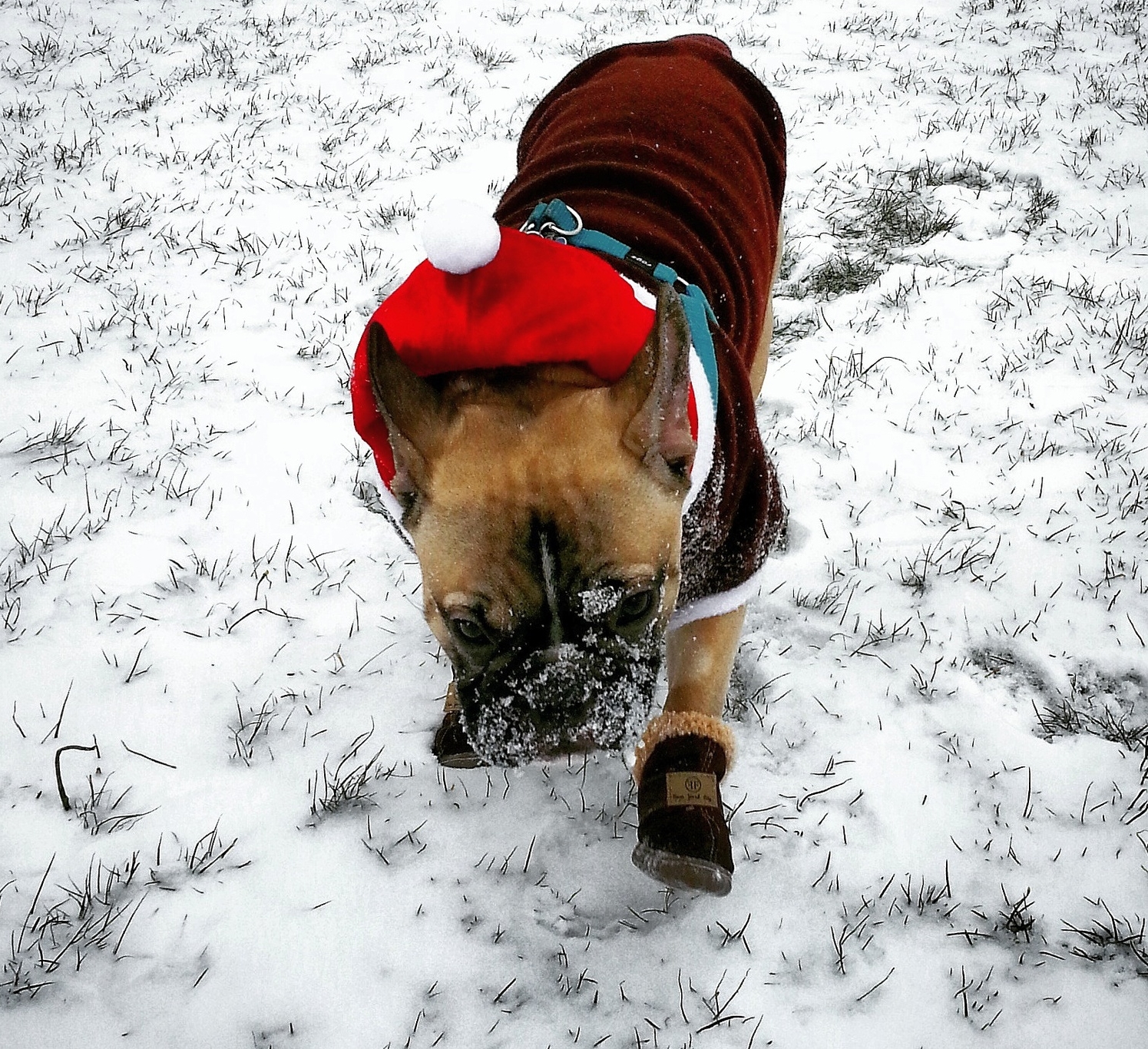 Batman - Refreshing Snow.jpg