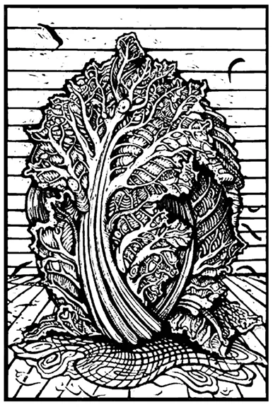 Cabbage - 2002 - Woodcut printed by hand on Mulberry Paper, sheet size: 38.5 x 25.75 inches