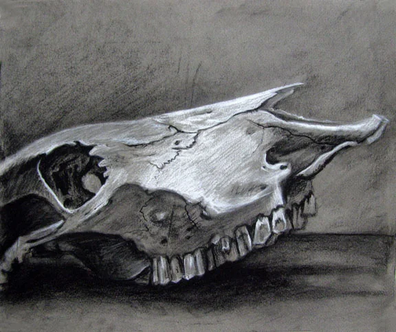 Intermediate Drawing: Still Life