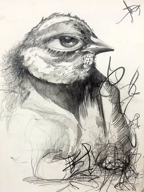 Large Eye Bird