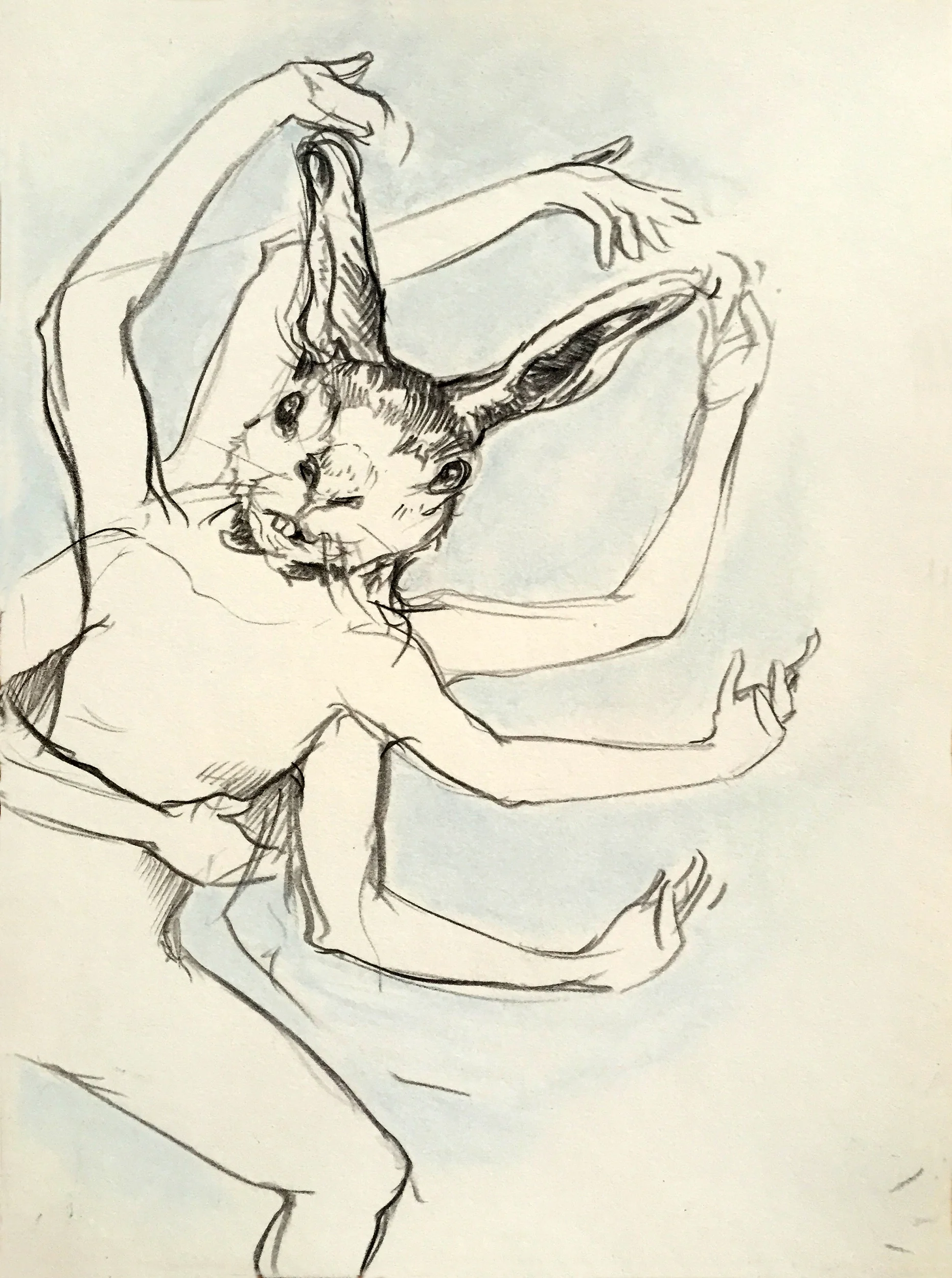 Kali Rabbit - 2015 - Graphite, Pastel on Paper, 6 x 8 in.