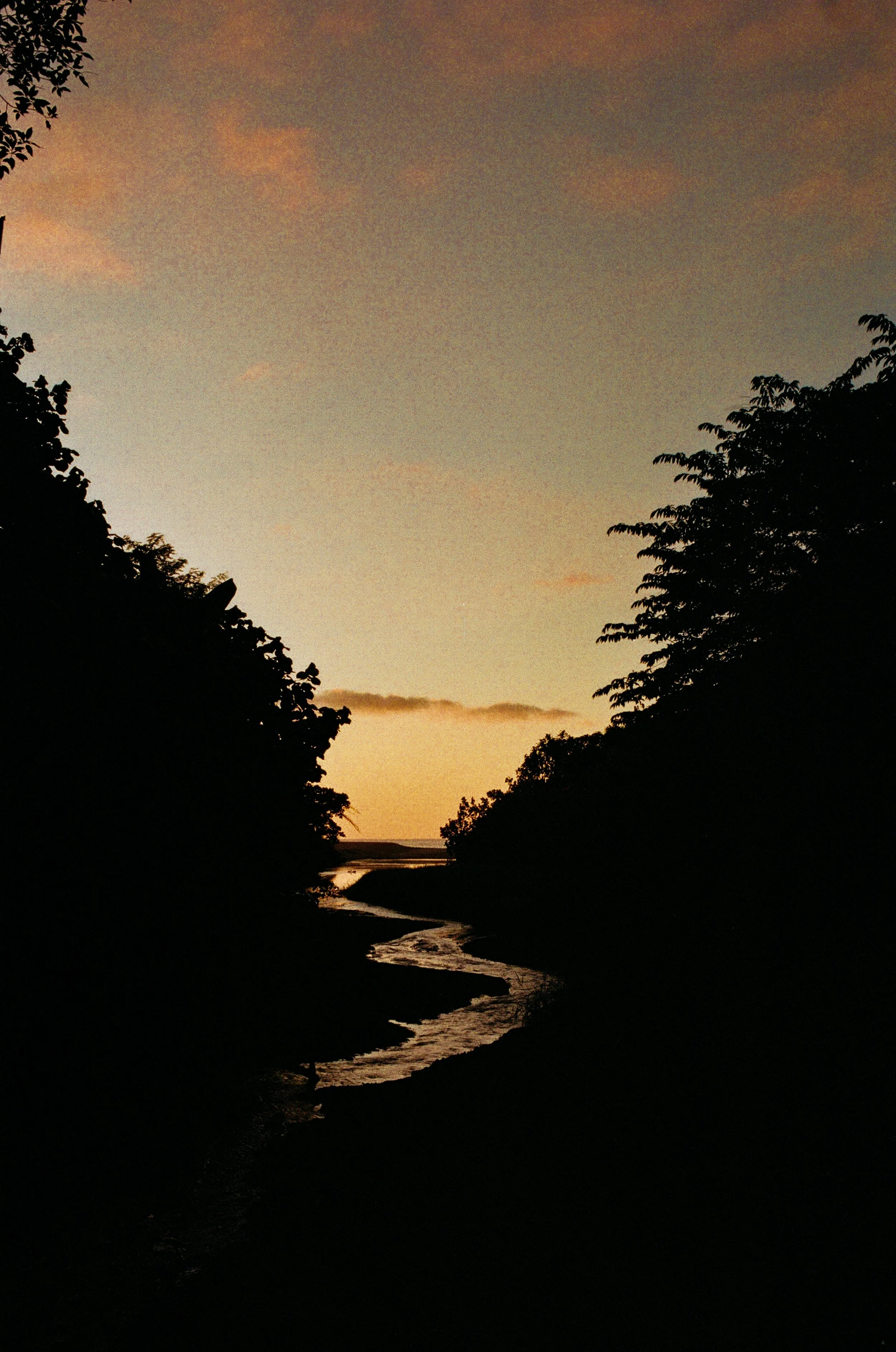ErinCorrigan_Nayarit-6.jpg
