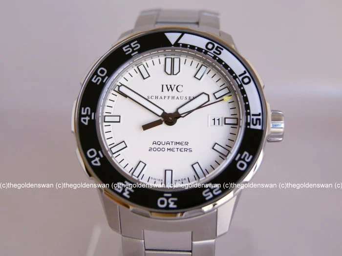 02192012IWC356809f.jpg