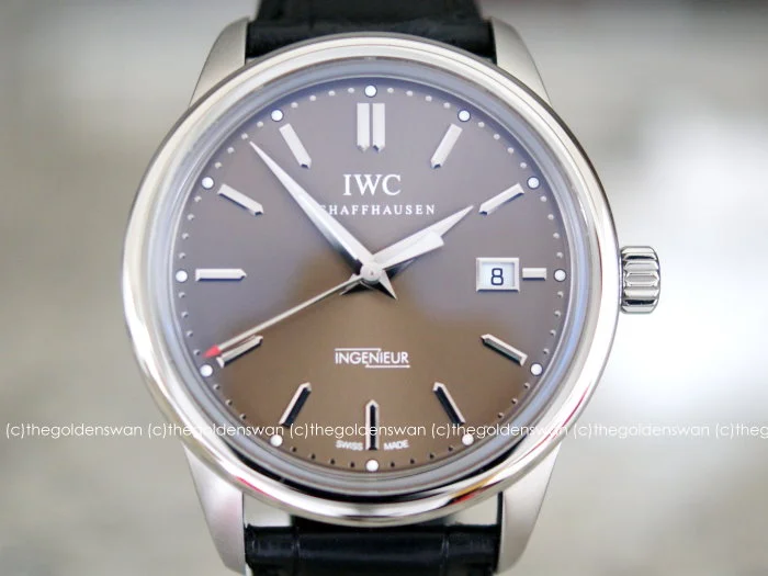 11062015IWCIngibrowna.jpg