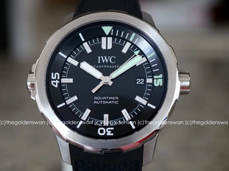 11042017IWC3290a.jpg