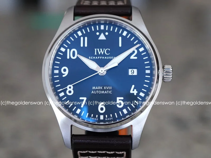 08152018IWC18Petita.jpg