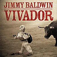 VIVADOR
