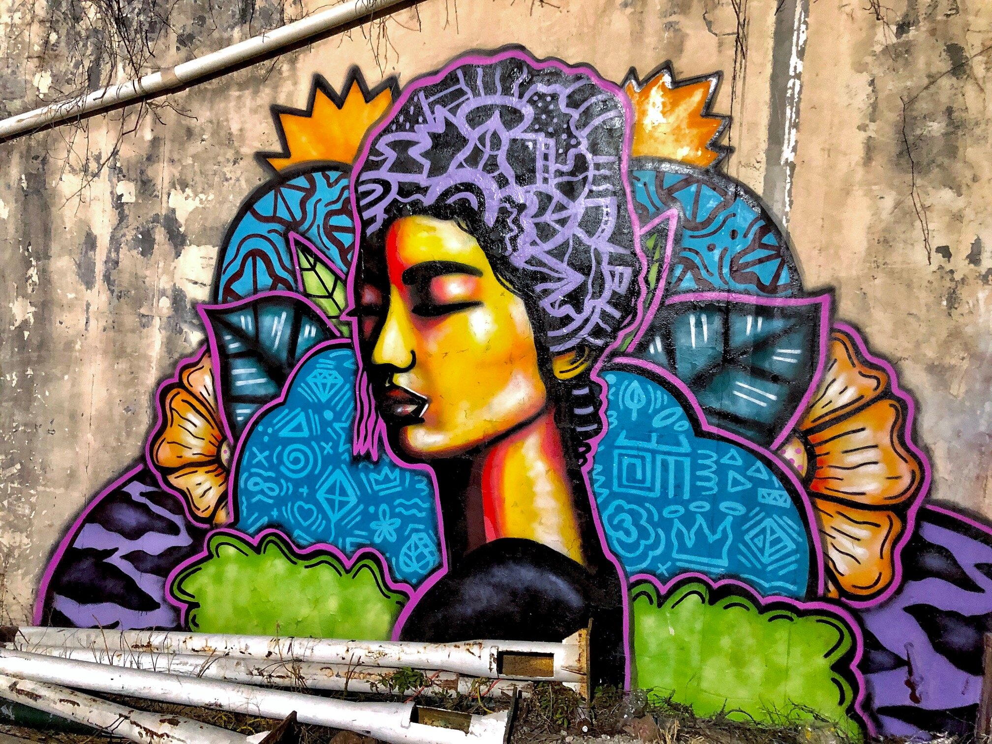 Kireina Josei" Mural by Alloyius Mcilwaine