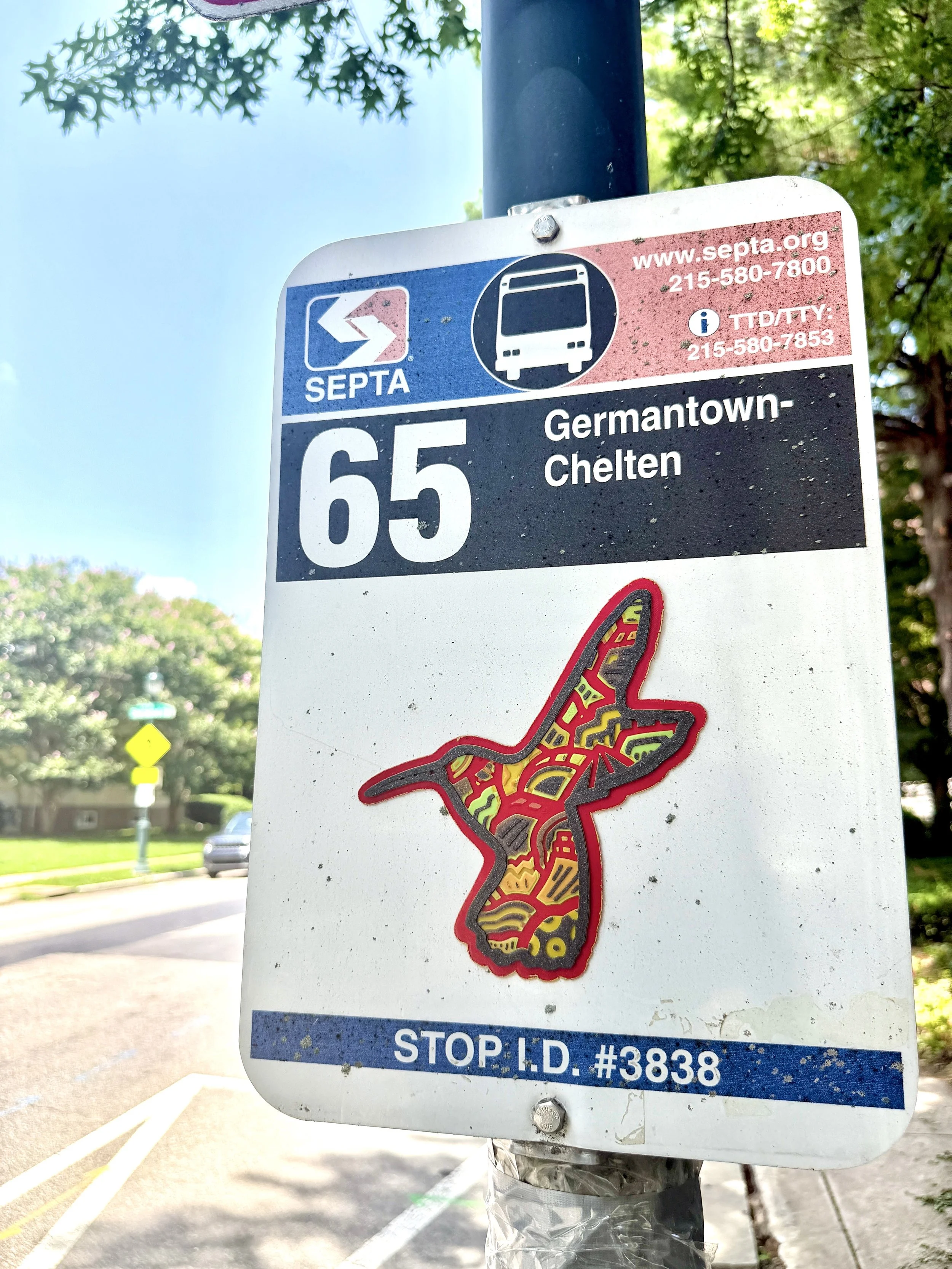 Cultures By Dezign - Red Hummingbird on the 65 in West Philly (3-D Printed Street Art)