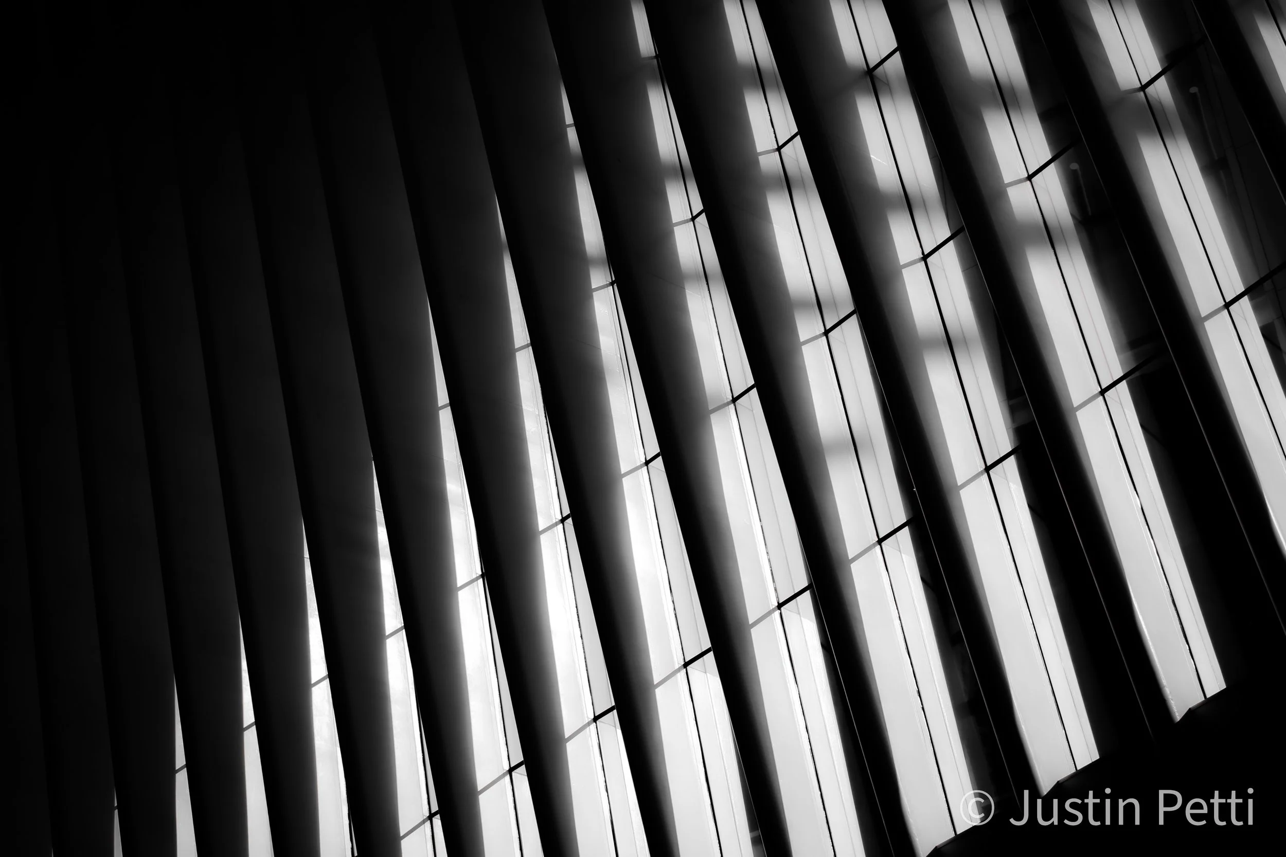 duplicate4.jpg