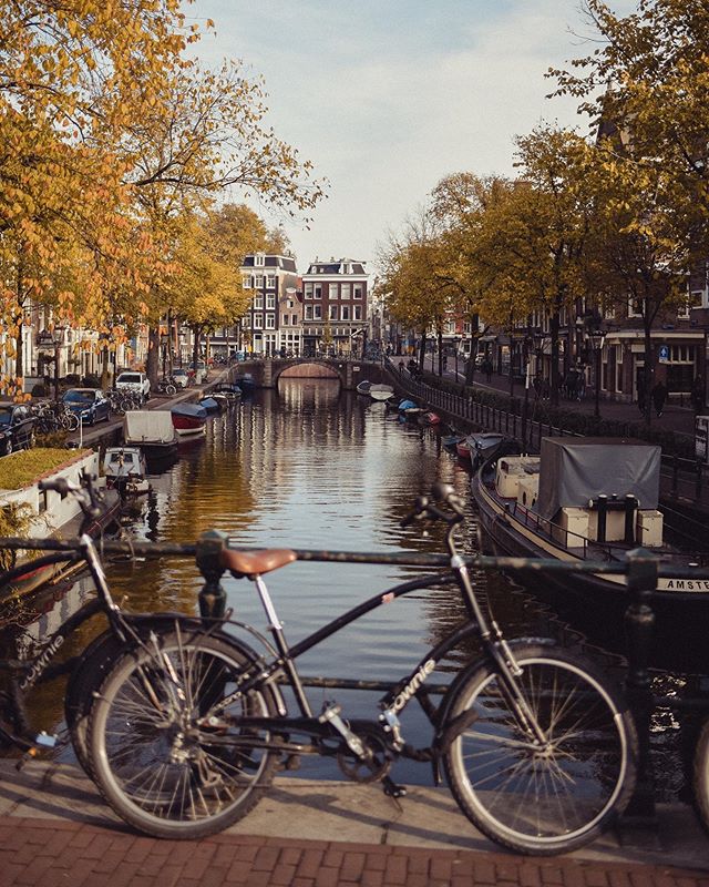 Missing the fall days in Amsterdam.